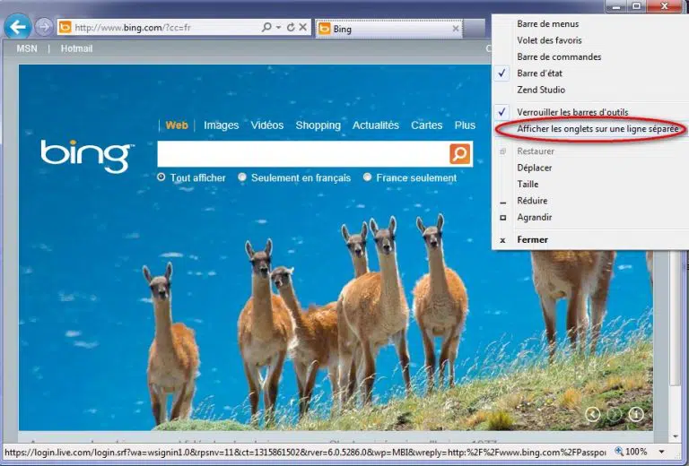 Afficher les onglets Internet Explorer 9 sur toute la longueur de la fenêtre