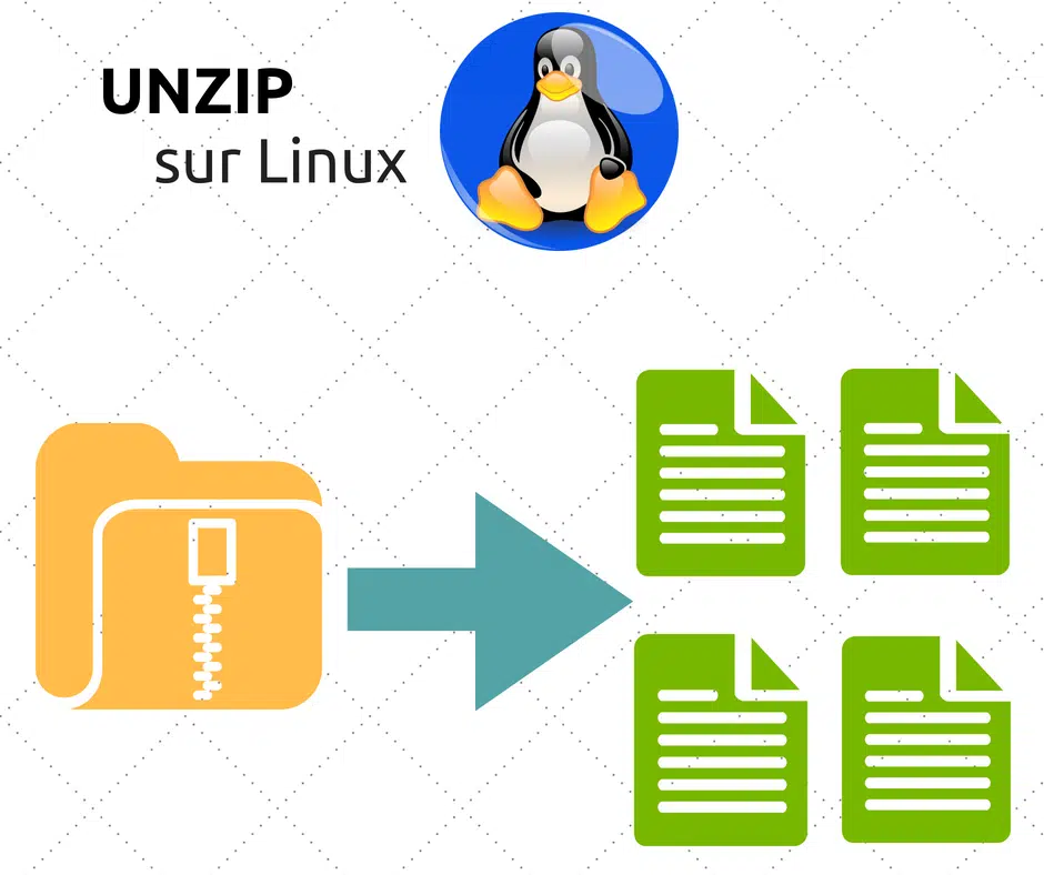 unzip linux