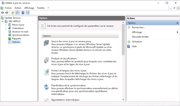 Quels produits Windows 10 choisir dans WSUS ?