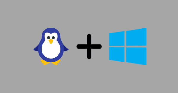 Installer une application Linux GUI sur Windows - Lecoindunet