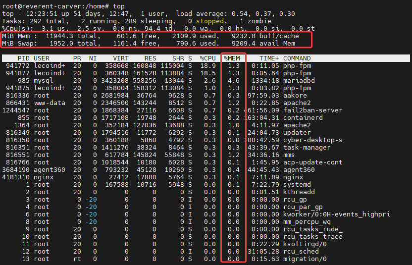 Afficher l'utilisation de la RAM par processus et en temps réel sur Linux avec commande top