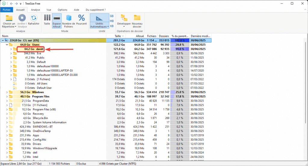 Voir dossiers et fichiers volumimneux avec treesize